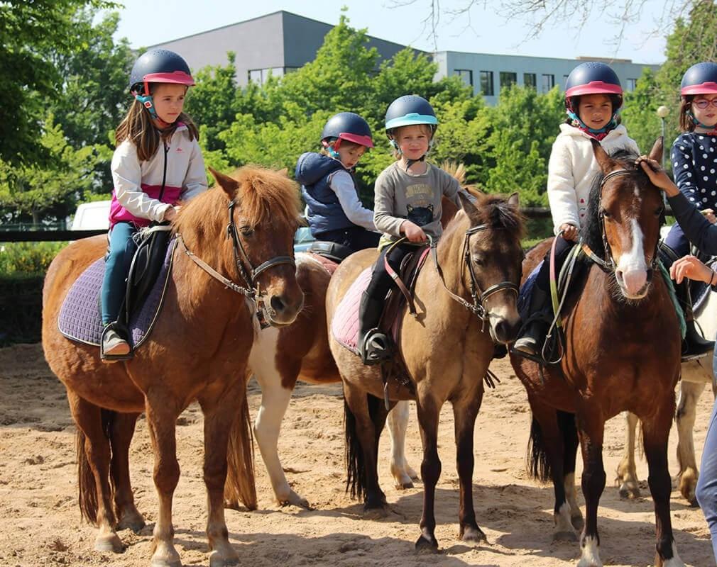 Cours d equitation